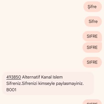 Online İşlemlere Giriş Sorunu: Çözüm Bekleyen Müşteri