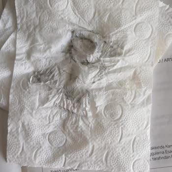 Arzum Hamur Yoğurma Makinesi Aparatı Renk Veriyor