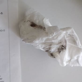 Arzum Hamur Yoğurma Makinesi Aparatı Renk Veriyor