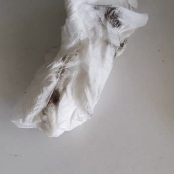 Arzum Hamur Yoğurma Makinesi Aparatı Renk Veriyor