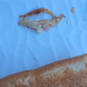 Mysos Döner Şikayeti