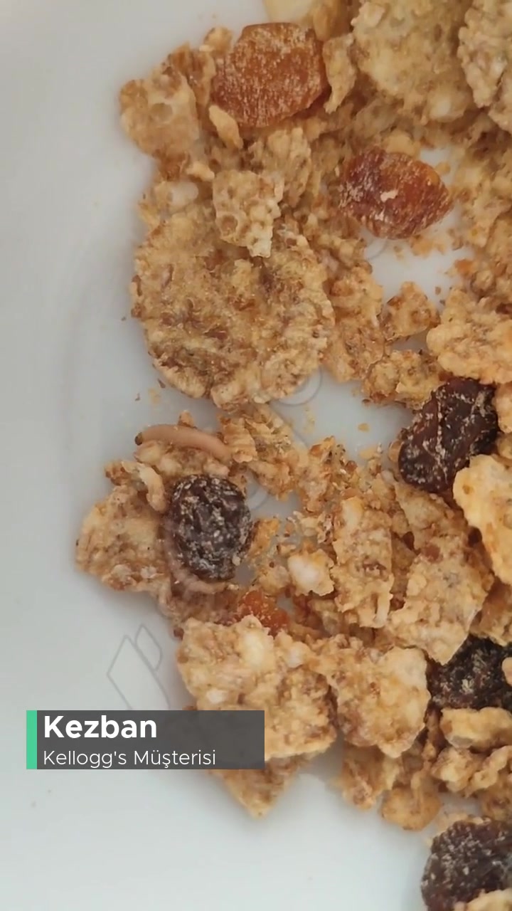 Kellogg's Mısır Gevreğimden Kurtçuklar Çıktı! videonun kapak resmi