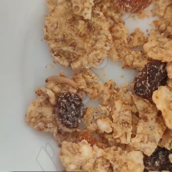Kellogg's Mısır Gevreğimden Kurtçuklar Çıktı!