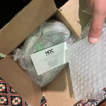 House Of Collectibles Şikayeti