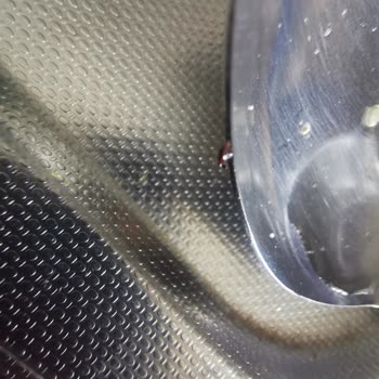 Besler Mutfak Makarnada Böcek Şoku