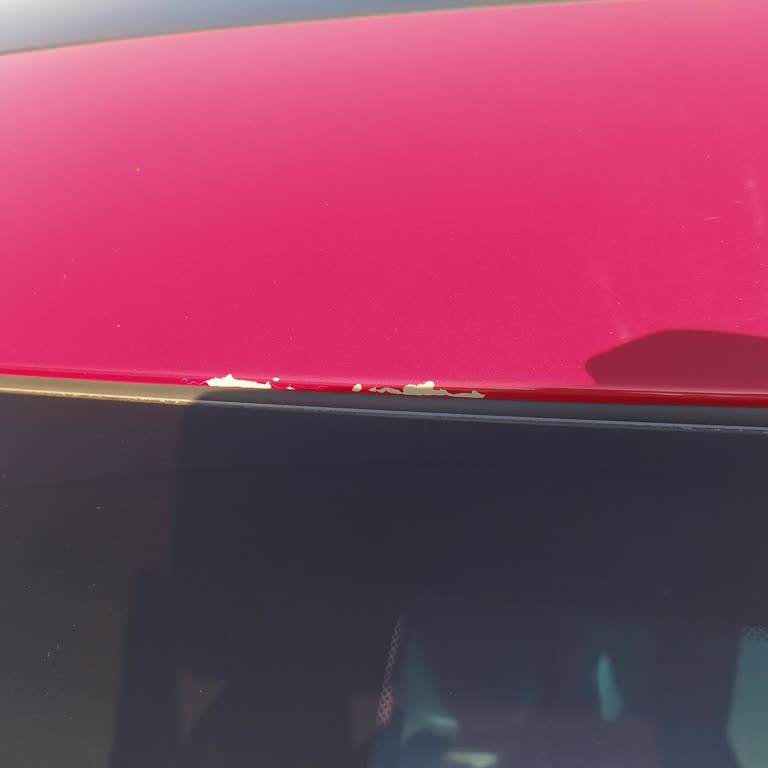 Hyundai Kona Boya Problemi