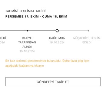 Kargo Teslimatındaki Sürekli Gecikme