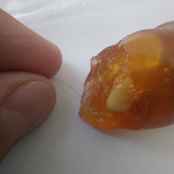 Cevizli Sucukta Hijyen Skandalı: Saç Çıktı!