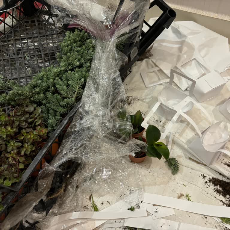 Eksik Ve Hatalı Gönderilen Düğün Süslemeleri