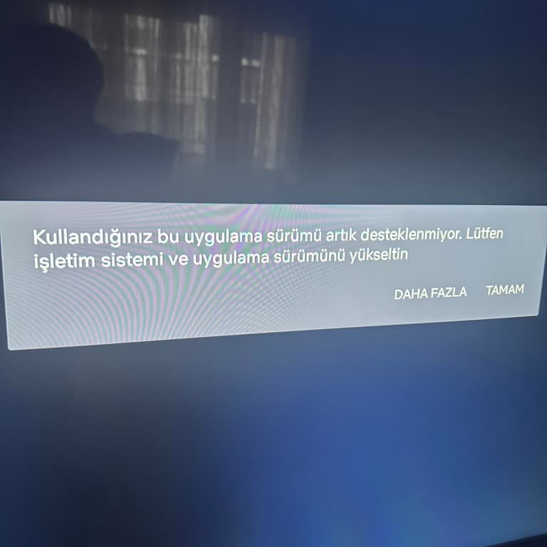 Televizyonda Netflix Bağlantı Sorunu