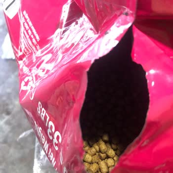 Yanlış Şekilde Gelen Yavru Kedi Maması Kediler Tarafından Beğenilmedi