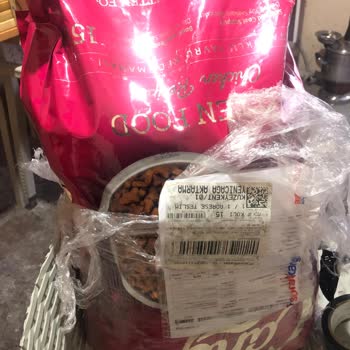 Yanlış Şekilde Gelen Yavru Kedi Maması Kediler Tarafından Beğenilmedi