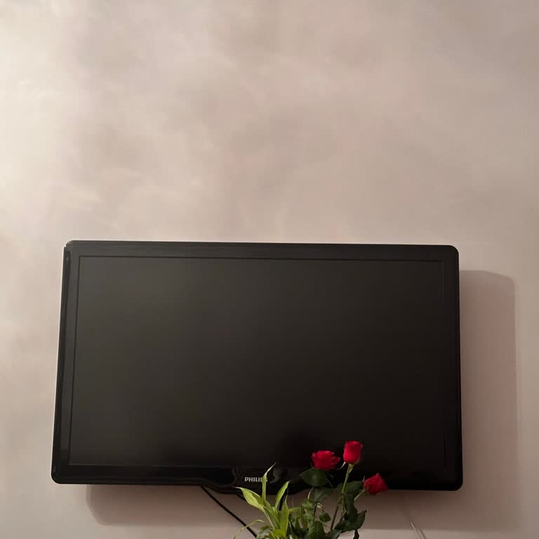 Philips TV'de Ani Patlama Ve Kapanma Sorunu