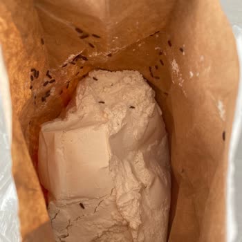 A101'den Alınan Unun İçinden Çıkan Böcekler Şok Etti