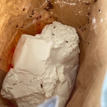 A101'den Alınan Unun İçinden Çıkan Böcekler Şok Etti