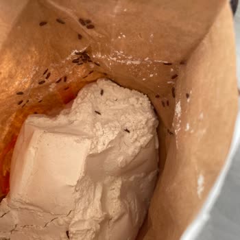 A101'den Alınan Unun İçinden Çıkan Böcekler Şok Etti