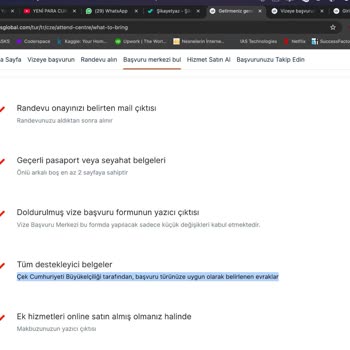 Vize Başvurusunda Ekstra Belge Talebi Sorunu