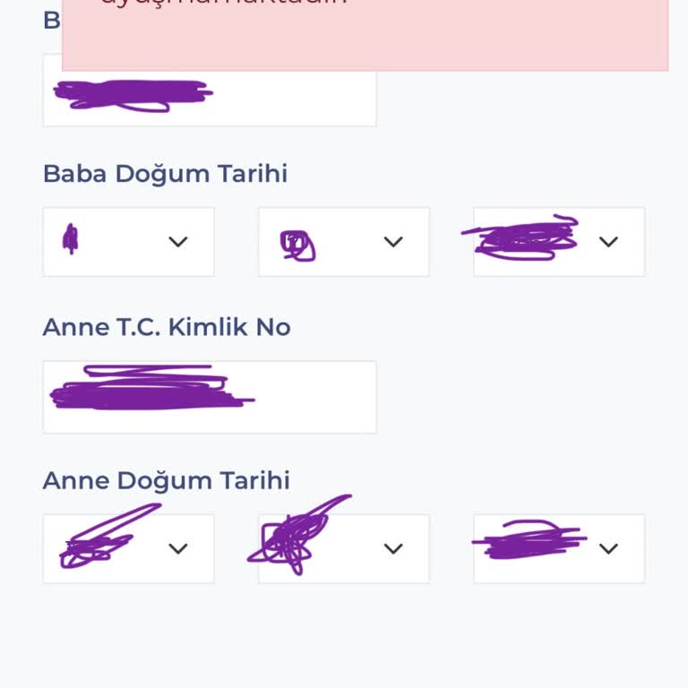 İBB Burs Başvurusunda Anne Adı Uyuşmazlığı Sorunu