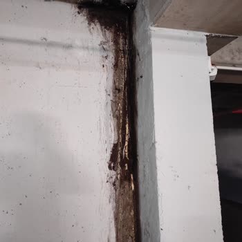 Demirli Yapı İnşaat Firması Şikayeti