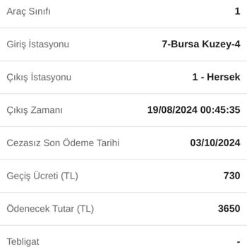 HGS Borçlandırma Ve Yetersiz Bildirim Sorunu