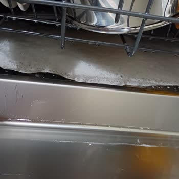Vestel Bulaşık Makinesi Köpük Sorunu Ve İlgisizlik