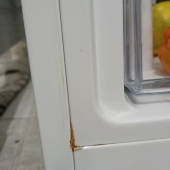 Altus Al 366 B Model Buzdolabında Paslanma Ve Çürüme Sorunu