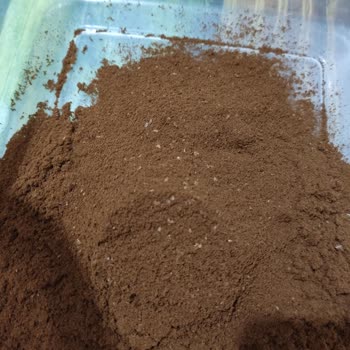 Kahve Dünyası'ndan Aldığım Kahvelerde Şaşırtıcı Kalıntılar