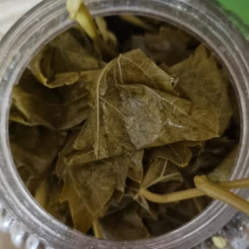 Nuriye Hilal'in Geleneksel Köy Ürünleri Kalite Ve Sağlık Sorunları Yaşattı