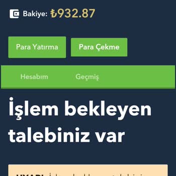 Ödeme Sorunu Ve Yetersiz Destek