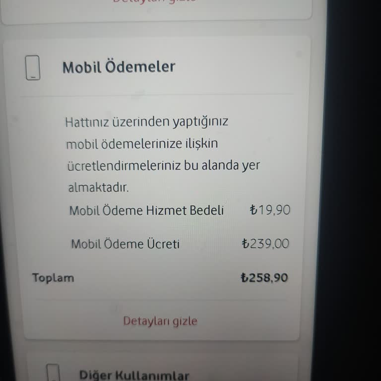 Faturada İstenmeyen Dijital Üyelik Sorunu