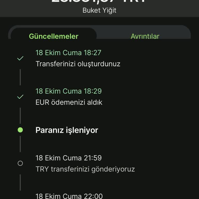Wise İle Para Transferinde Sürekli Gecikme Ve Endişe
