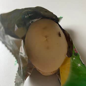 Sevilen Markanın Ürünü Hayal Kırıklığı Yarattı: Böcek Şoku!