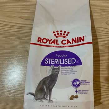 Sahte Kedi Maması Ve İade Sorunu
