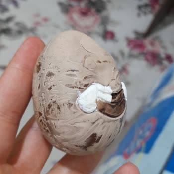 Ozmo Sürpriz Yumurta Hayal Kırıklığı: Beyazlamış Çikolata Şoku