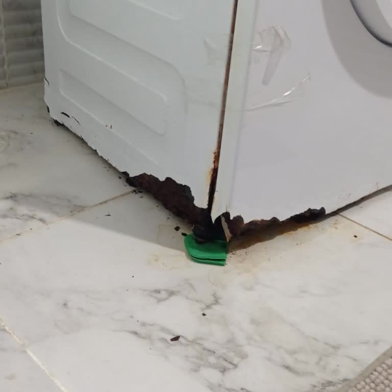 Garanti Süresi Biter Bitmez Çürüyen Çamaşır Makinesi