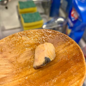 Bozulmuş Ürün Ve Zehirlenme Tehlikesi