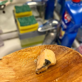 Bozulmuş Ürün Ve Zehirlenme Tehlikesi