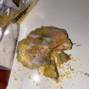 A101'den Aldığım Üründe Şok Edici Bulgu!