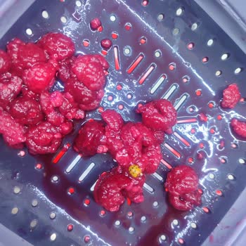 Rozen Sea Food Dondurulmuş Frambuaz