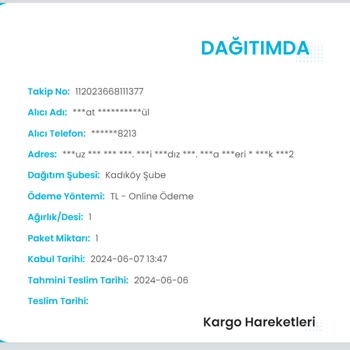 Kaybolan Kargo, İade Edilmeyen Para: N11 Ve Kargoist Mağduriyeti
