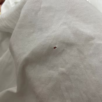 Çamaşır Makinesinde Bitmeyen Ses Ve Delinme Sorunu