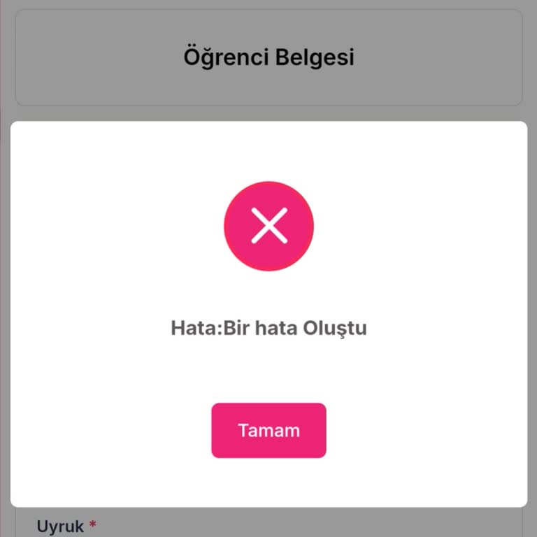 TEV Burs Başvurusunda Sürekli Sistem Hatası