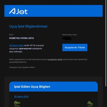 Viyana Uçuşunda Mağduriyet: İptal Edilen Biletler Ve Ekstra Masraflar