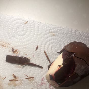 Magnum Mini Ürününde Şok Edici Yabancı Maddeler