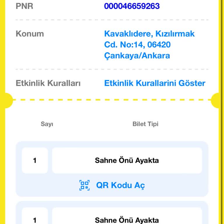 Konser Kaosu: Ayakta Bilet Mağduriyeti