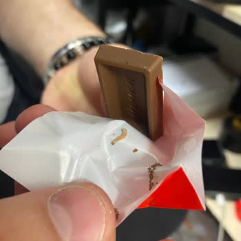 Ülker Çikolatada Kurt Şoku: Ürünün Güvenilirliği Sorgulanıyor