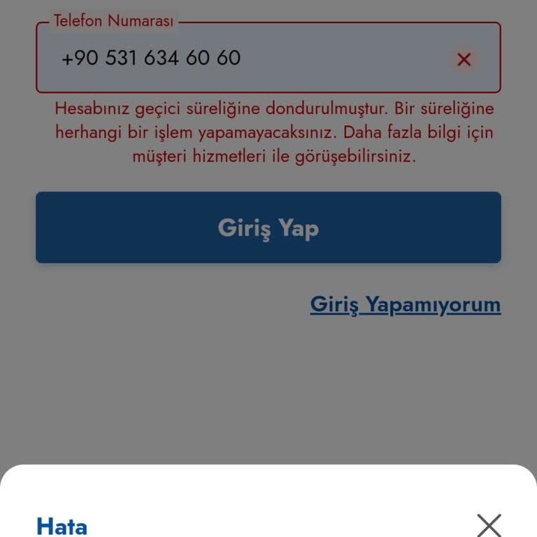 Müşteri Hizmetleri Ve Erişim Sorunları: Uzun Bekleyiş