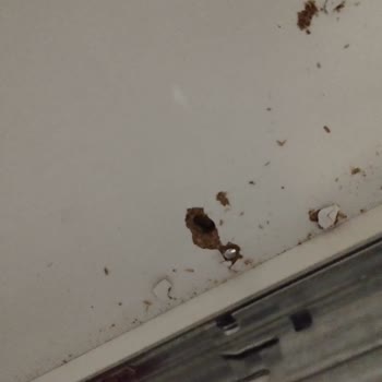 Evkur'dan Aldığım Gardırop Tam Bir Hayal Kırıklığı