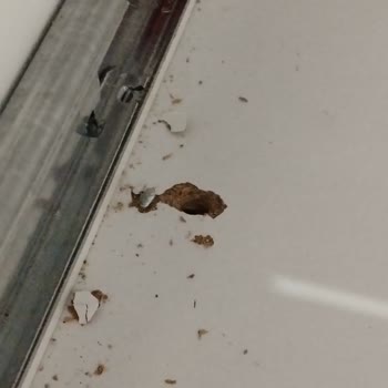 Evkur'dan Aldığım Gardırop Tam Bir Hayal Kırıklığı