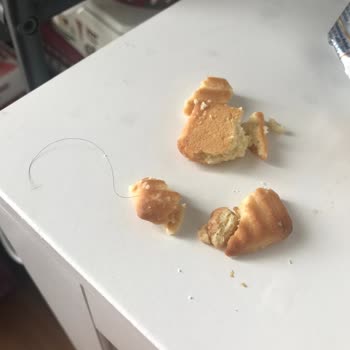 Bisküviden Çıkan Şok Edici Yabancı Madde